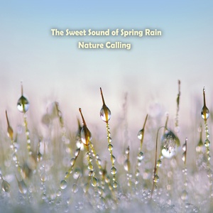 반가운 봄비소리