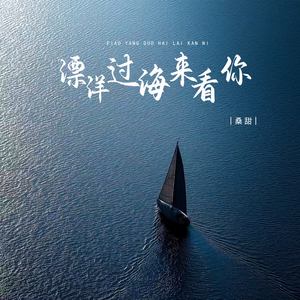 漂洋过海来看你 (DJ版)