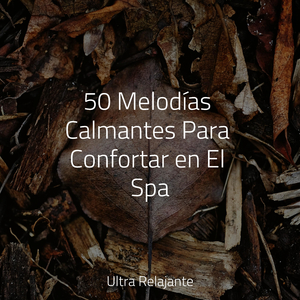 Belleza Conmovedora