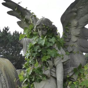 【BEAT】“逍遥不羁客” chill trap×acoustic