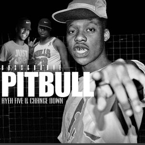 Pitbull II (feat. Ayefive, Change Down & Dj sketch) (Bassgroove)