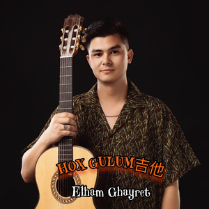 Hox Gulum吉他