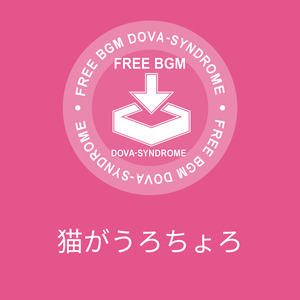 猫がうろちょろ