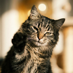 こっそり、ひっそり