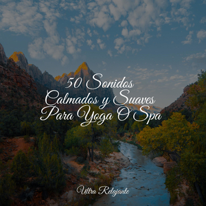 Sueños De Vacaciones