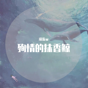 殉情的抹香鲸(温柔女生版）