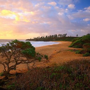 冬日里的一抹暖阳