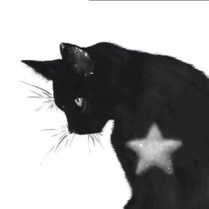 寄生心（prod.by Morrow）