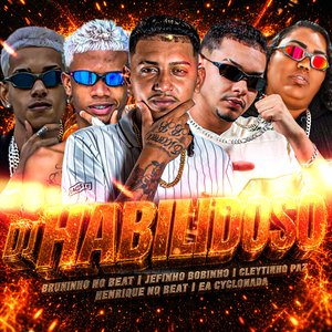 Dj Habilidoso