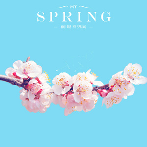 My Spring