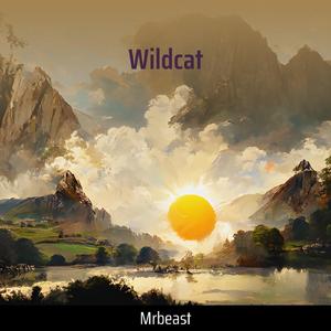 Wildcat