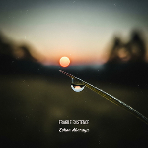 Moment Before Falling