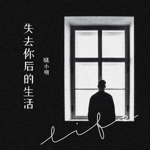 失去你后的生活