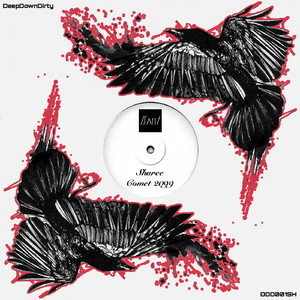 Comet 2099 (Original Mix)