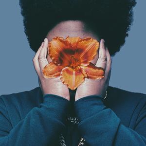 What Did You Say to Me