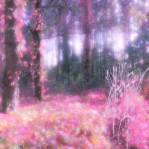 maĵ vinsïo' krrysttàlïsèaea päyr l'aüraurk dh'orrïblensk ŝearntîmëntes ĵ'isnvôwe männe fëorse vïnntrèfie d'ü'nexse hoüt dëyyns florqùas hî'èrqe-vernâles