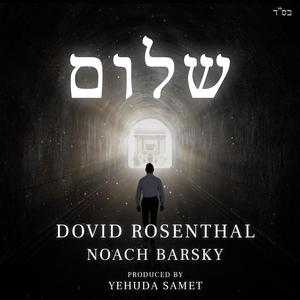 שלום (feat. Noach Barsky)