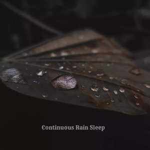 Continuous Rain Sleep