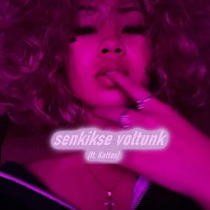 Senkikse voltunk