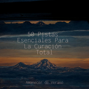 Pétalos Solitarios Bailan Suavemente