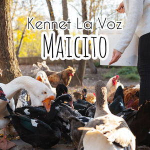 Maicito