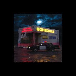 Navaan Sandhu X Tegi Pannu Type