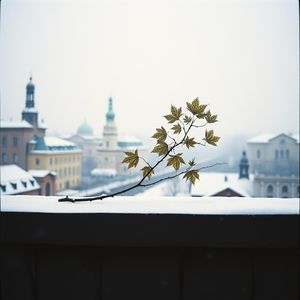 《Прощай, Москва》