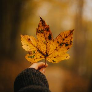 绝体绝命【星尘infinity】