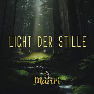 Licht der Stille