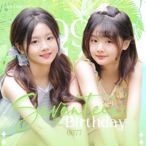 Seventeen Birthday（HB TO 6677）