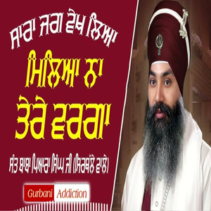 Sara Jag Dekh Lya Milya Na Tere Warga