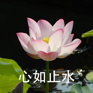 醒世文章