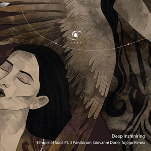 Temple of Soul (Pandorum Remix)