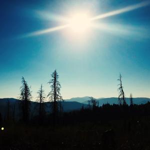 First Thing In the Morning