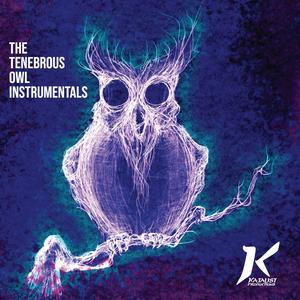 The Tenebrous Owl