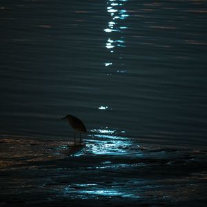 关于日记燃烧后的灰烬