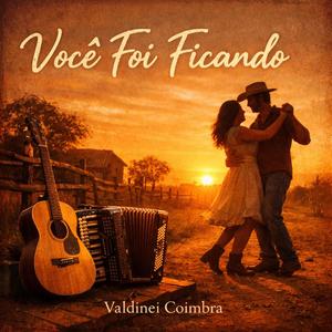Você Foi Ficando