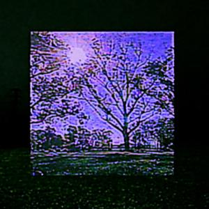 le putain de parc (feat. mugen)