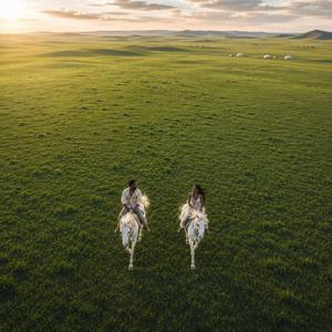 Endless Grasslands