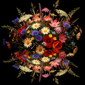 Comu si gira e comu si balla