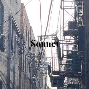 Sonnet (I wrote you a poem)