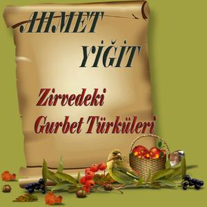 Kırmızı Gül Demet Demet