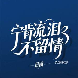 宁肯流泪不留情 (DJ浩然版)