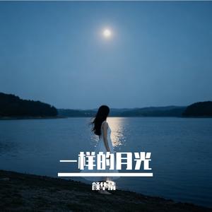 一样的月光