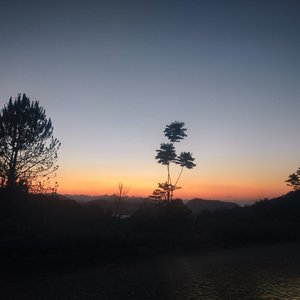 心似游龙