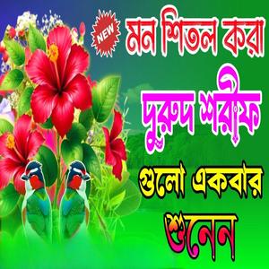 মন শিতল করা দুরুদ শরীফ ও জিকির গুলো শুনুন আপনার অশান্ত মন শান্ত হবে ইনশাআল্লাহ