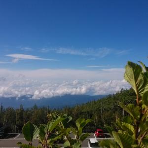 猫一样的女子（钢琴曲）