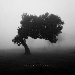 Niebla