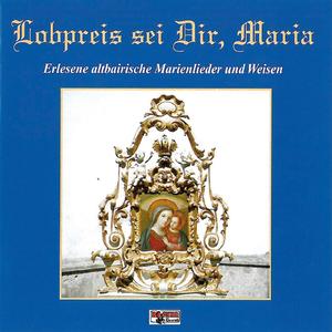 Ein Ilgen ist entsprossen