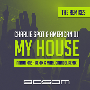 My House (Aaron Mash Remix)